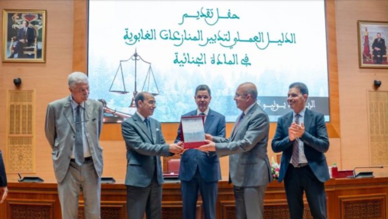 دليل جديد لتوحيد المنازعات الغابوية.. خطوة نحو تعزيز حماية الثروة الطبيعية